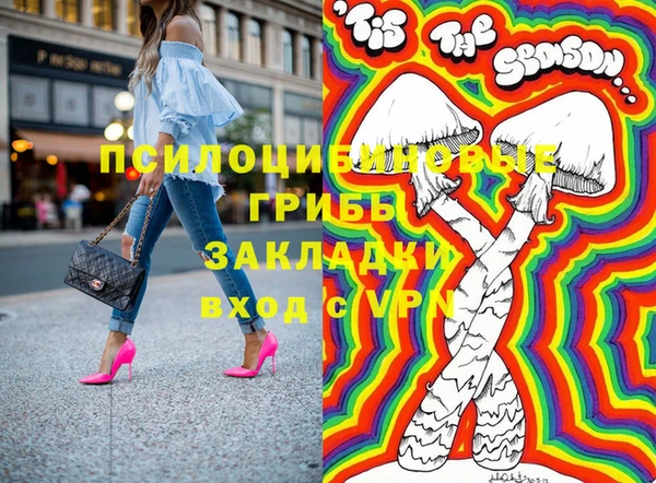 дмт Алзамай