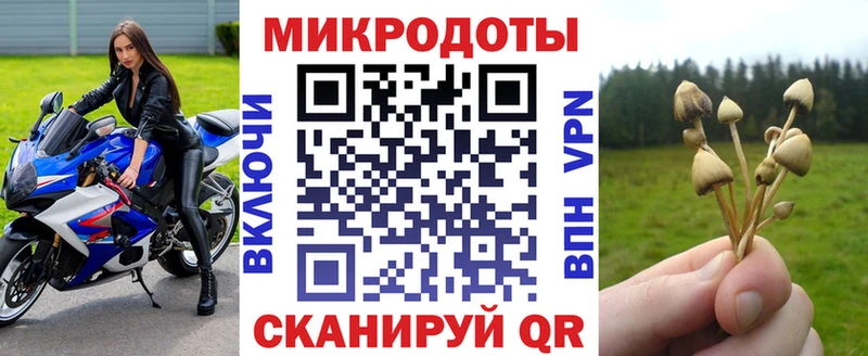 Псилоцибиновые грибы Psilocybine cubensis даркнет сайт Пролетарск